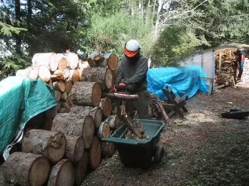 [Hearth.com] Cutting Limbs to Size