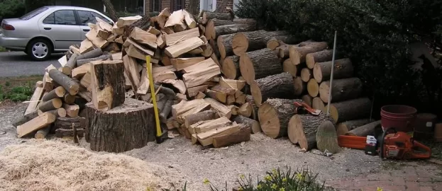 [Hearth.com] Suburban firewood processing, and why to be careful with yard trees