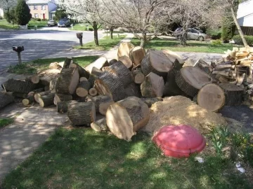 [Hearth.com] Suburban Firewood II, Electric Boogaloo