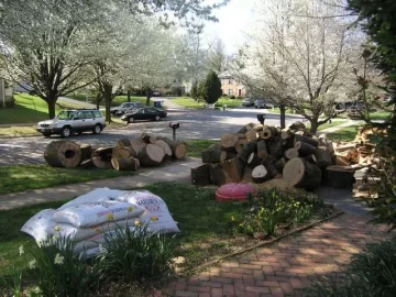 [Hearth.com] Suburban Firewood II, Electric Boogaloo