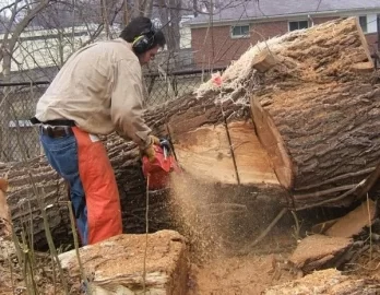 [Hearth.com] Bucking up large logs