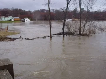 [Hearth.com] Nor' Easter! Bring in the pets!!