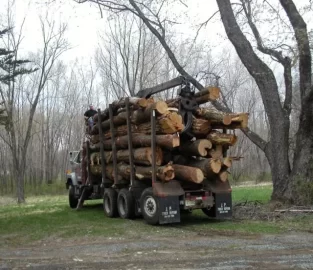 [Hearth.com] Triaxle Load Delivery - In celebration of Arbor Day