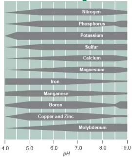 [Hearth.com] Lime then fertilizer?