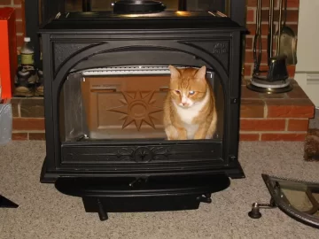 [Hearth.com] Your pets with your stove