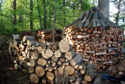 [Hearth.com] Ok it's that time of the year again....... to show wood piles/stacks!!