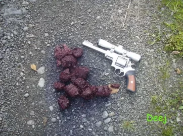 [Hearth.com] Anybody know what bear scat looks like?