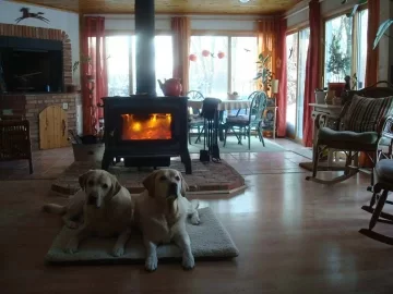 [Hearth.com] Your pets with your stove