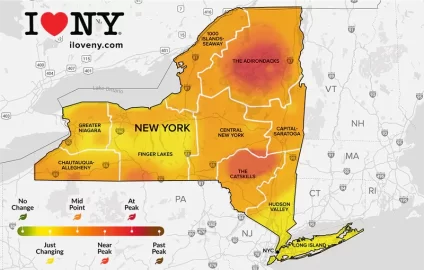 [Hearth.com] 2022 Fall Foliage