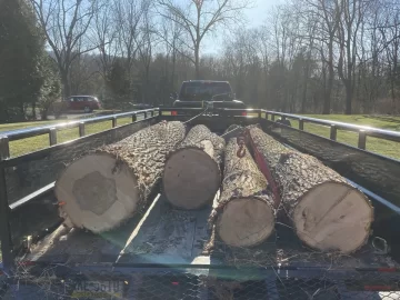 [Hearth.com] Inside Wood Storage