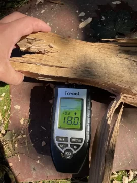 [Hearth.com] Think this wood will be ready for winter burning?