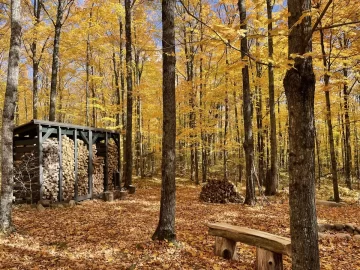 [Hearth.com] Show Us Your Wood Shed