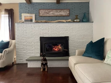 [Hearth.com] Top down fire