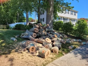 [Hearth.com] Drying oak rounds (12"-20" diameter)