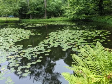 [Hearth.com] Any pond management people in here?