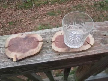 [Hearth.com] Need Help Identifying These South Texas Tree Stumps Please