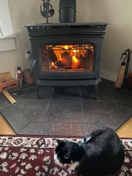 [Hearth.com] Cat vs woodstove