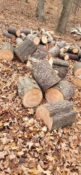 [Hearth.com] A little cherry and ash cutting.