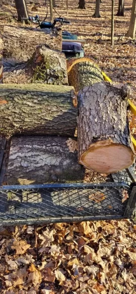 [Hearth.com] A little cherry and ash cutting.