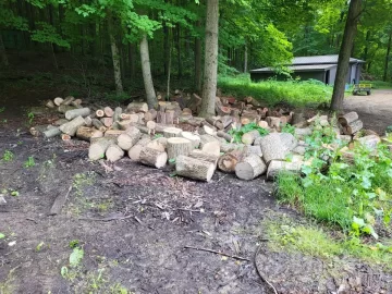 [Hearth.com] A little cherry and ash cutting.