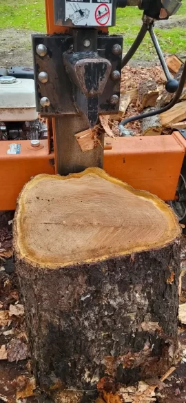 [Hearth.com] A little cherry and ash cutting.