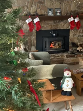 [Hearth.com] Looking at a Buck Stove Model 91 - Concerned it is Overkill