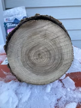 [Hearth.com] Wood Id help. Is it white oak?