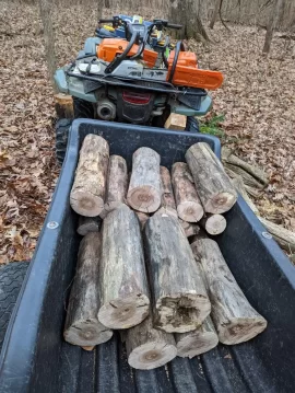 [Hearth.com] What Is In Your Stove Right Now?