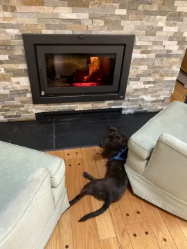 [Hearth.com] A Hound and a Wood Stove