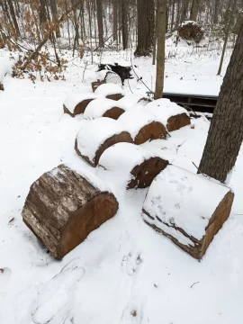 [Hearth.com] Why I prefer red oak over white oak