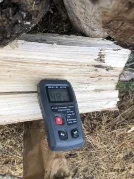 [Hearth.com] 50% moisture content in standing dead Ash tree