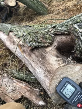 [Hearth.com] 50% moisture content in standing dead Ash tree