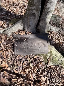 [Hearth.com] I found a side of an old wood stove