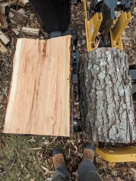 [Hearth.com] Wood ID help - three trees