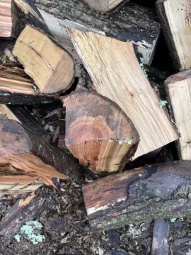 [Hearth.com] Wood ID help