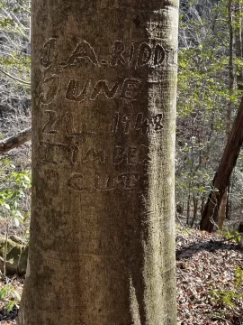 [Hearth.com] I found a side of an old wood stove