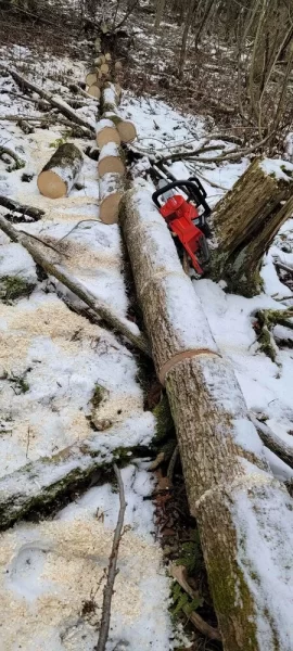 [Hearth.com] Anyone using an electric chain saw?