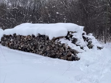 [Hearth.com] Lets See Your Wood Piles