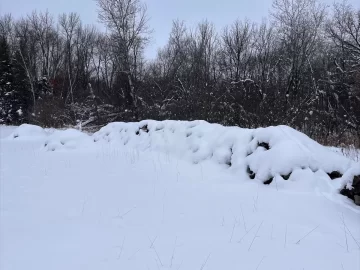 [Hearth.com] Lets See Your Wood Piles