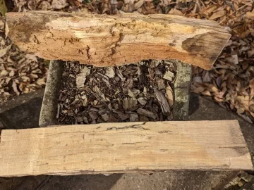 [Hearth.com] Surprise Firewood Delivery!