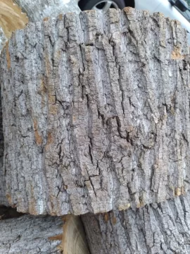 [Hearth.com] Tree ID Help please...