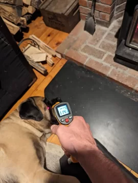 [Hearth.com] Good dog, bad dog!