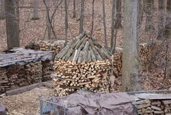 How long does it take stacked wood to dry from rain?
