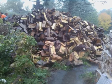 [Hearth.com] How long does it take stacked wood to dry from rain?