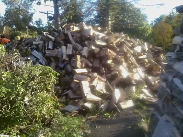 [Hearth.com] How long does it take stacked wood to dry from rain?