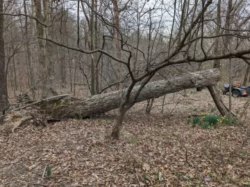 [Hearth.com] How would you get this braced blow-down on the ground?