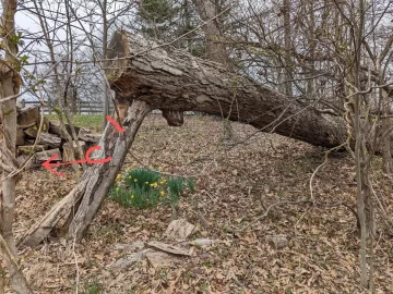 [Hearth.com] How would you get this braced blow-down on the ground?