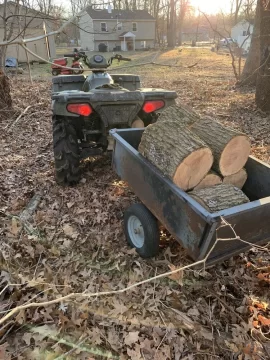 [Hearth.com] Favorite Quad for Tree Work?