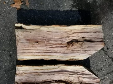 [Hearth.com] Help with wood ID