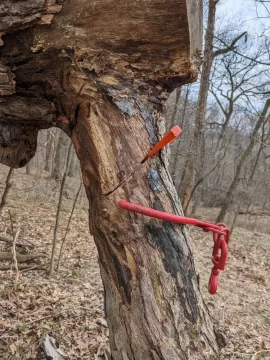 [Hearth.com] How would you get this braced blow-down on the ground?